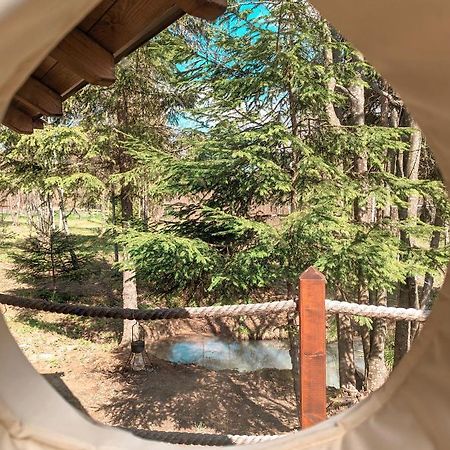 Medve Dome - Luxury Camping In The Middle Of Nature Hotel Vlahita Eksteriør billede