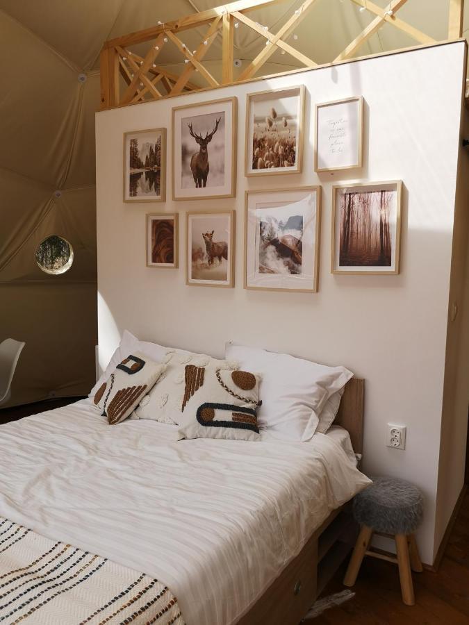 Medve Dome - Luxury Camping In The Middle Of Nature Hotel Vlahita Eksteriør billede