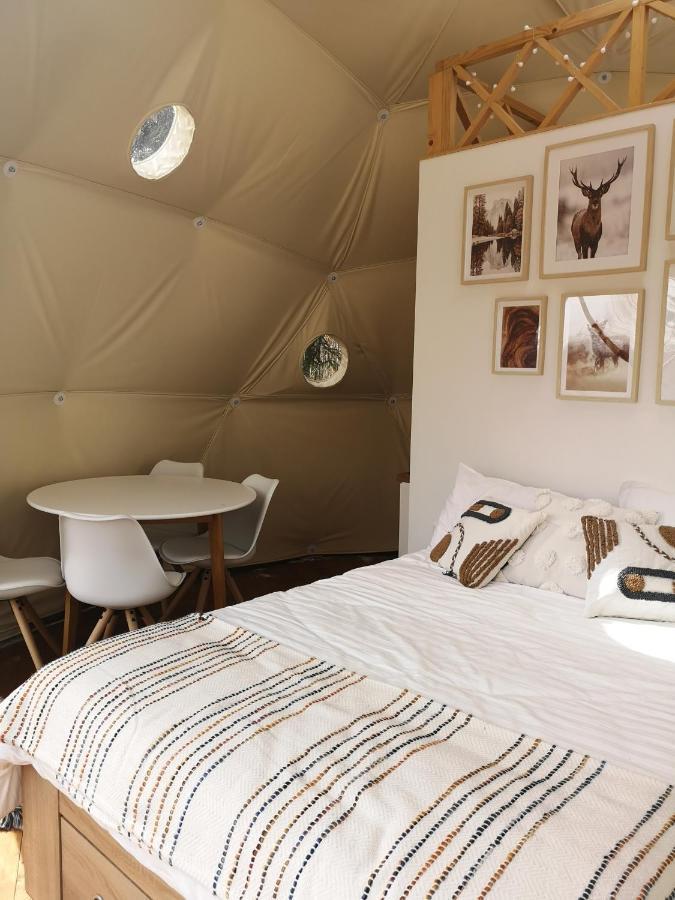Medve Dome - Luxury Camping In The Middle Of Nature Hotel Vlahita Eksteriør billede