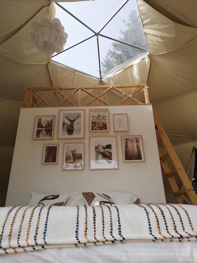 Medve Dome - Luxury Camping In The Middle Of Nature Hotel Vlahita Eksteriør billede