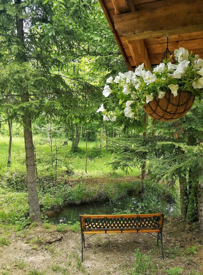 Medve Dome - Luxury Camping In The Middle Of Nature Hotel Vlahita Eksteriør billede