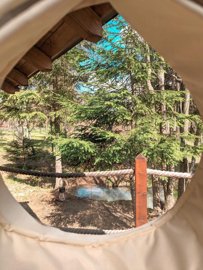 Medve Dome - Luxury Camping In The Middle Of Nature Hotel Vlahita Eksteriør billede